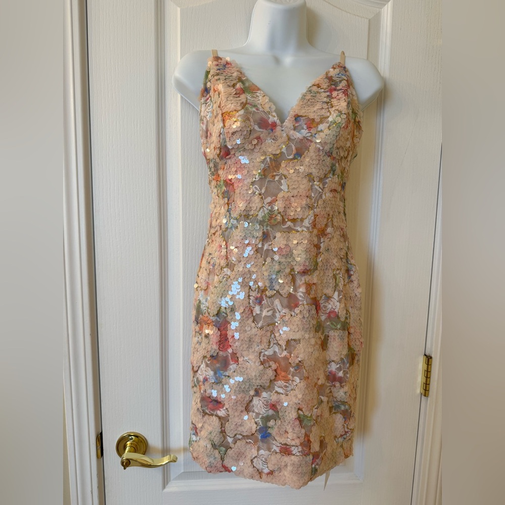 Delicate Blush Sequin Floral Mini Dress